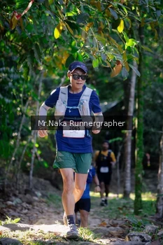 Runner Photo 13528