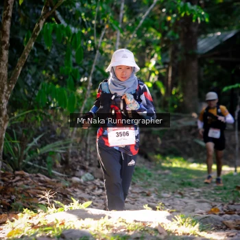Runner Photo 13533