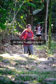 Runner Photo 13559