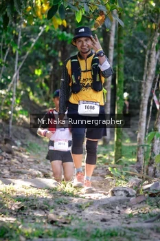 Runner Photo 13562