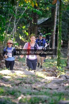 Runner Photo 13586