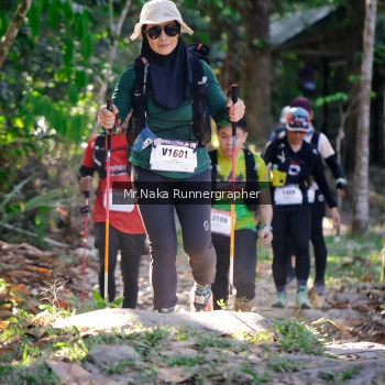 Runner Photo 13619