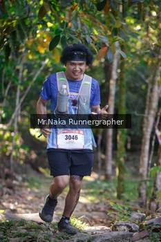 Runner Photo 13646