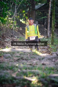 Runner Photo 13647