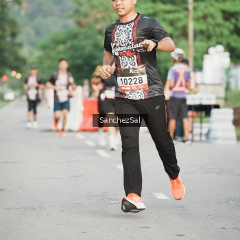 Runner Photo 1369238