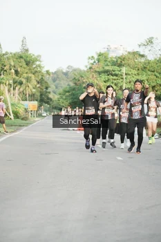 Runner Photo 1369920