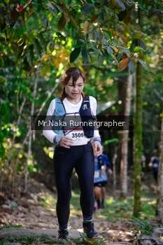Runner Photo 13734