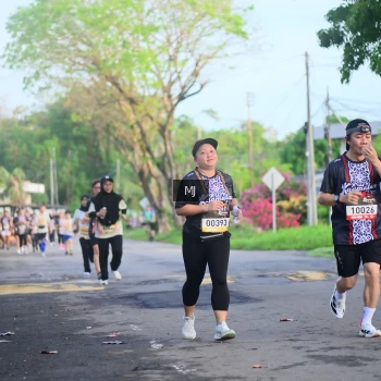 Runner Photo 1376128