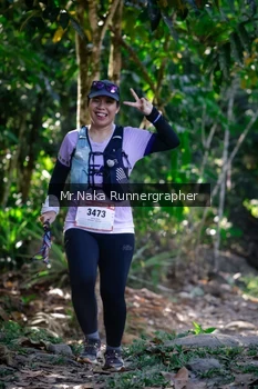Runner Photo 13763