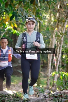 Runner Photo 13786