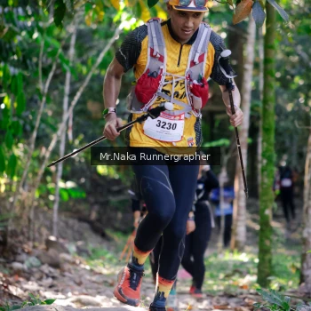 Runner Photo 13797