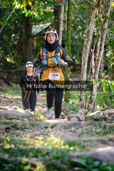 Runner Photo 13799