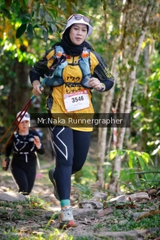 Runner Photo 13801