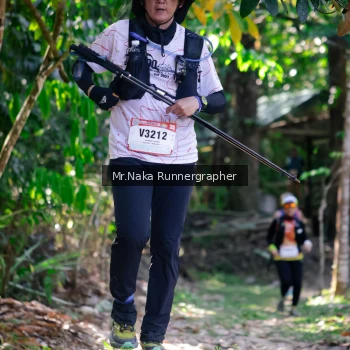 Runner Photo 13852