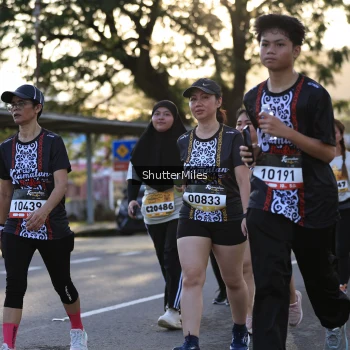 Runner Photo 1389277