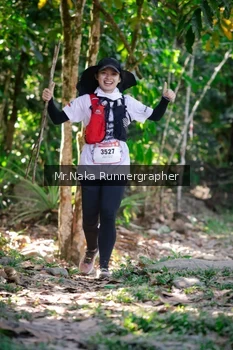 Runner Photo 13933