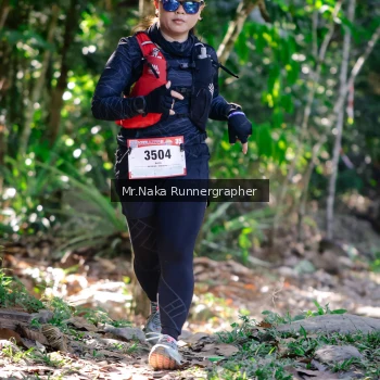 Runner Photo 13968