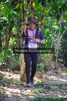 Runner Photo 13988
