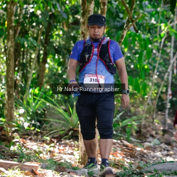 Runner Photo 14048