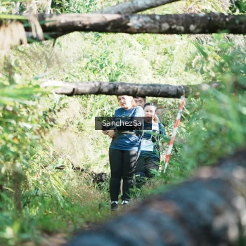 Runner Photo 1405440