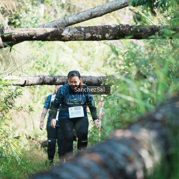 Runner Photo 1405451