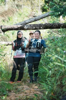 Runner Photo 1405700