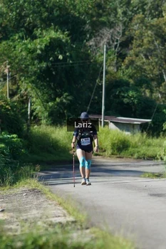 Runner Photo 1405746