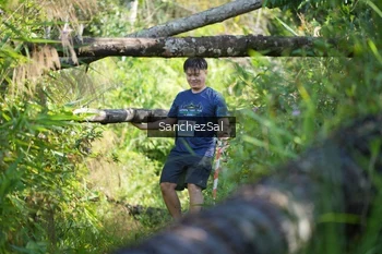 Runner Photo 1406591