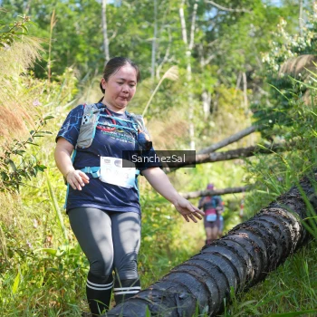 Runner Photo 1406777