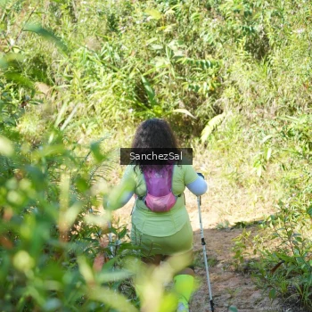 Runner Photo 1407099