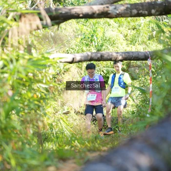 Runner Photo 1407185