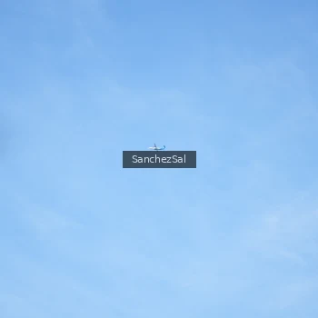 Runner Photo 1407190