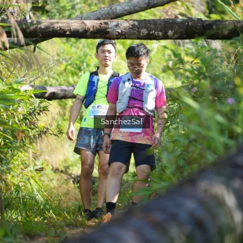 Runner Photo 1407247