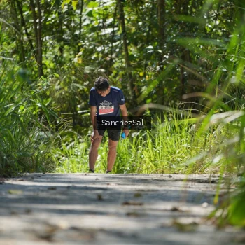 Runner Photo 1407527