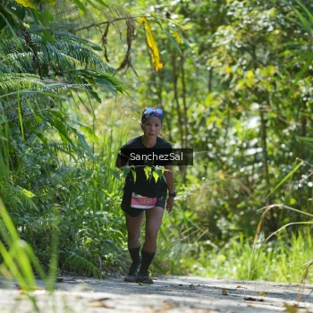 Runner Photo 1407733