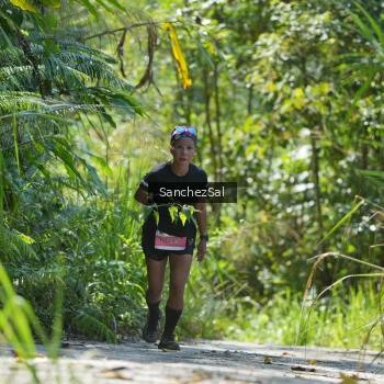 Runner Photo 1407747