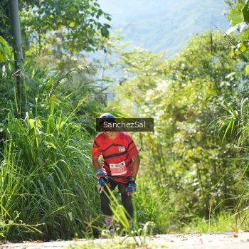 Runner Photo 1408094