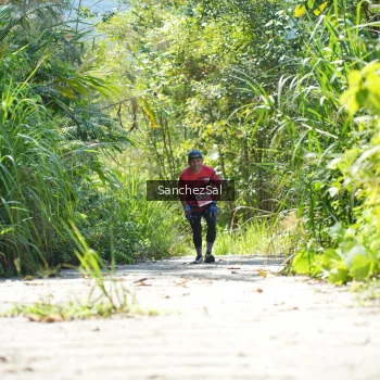 Runner Photo 1408096