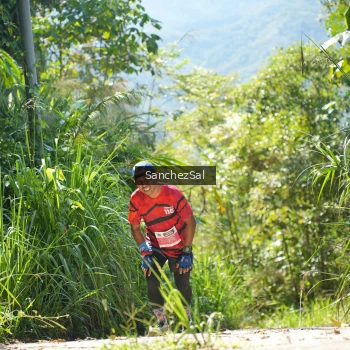 Runner Photo 1408113