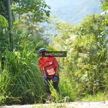 Runner Photo 1408136