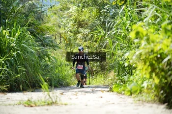 Runner Photo 1408202