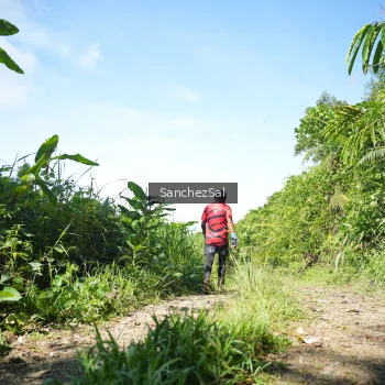 Runner Photo 1408239