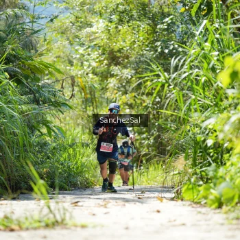 Runner Photo 1408265