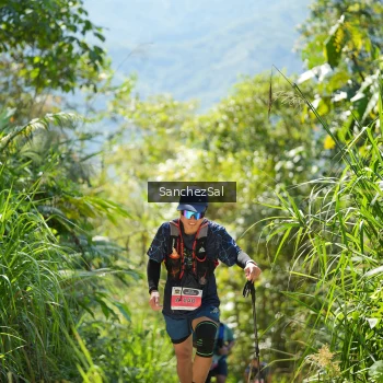 Runner Photo 1408311