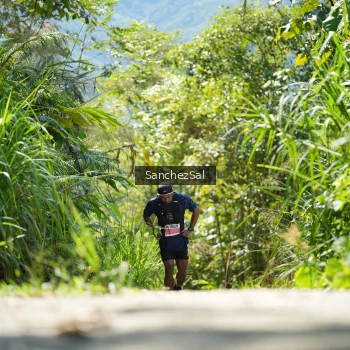 Runner Photo 1408555