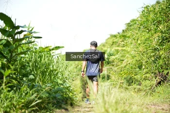 Runner Photo 1408590
