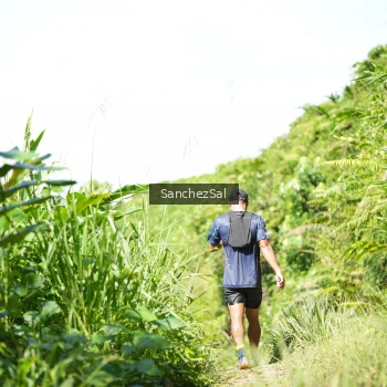 Runner Photo 1408626