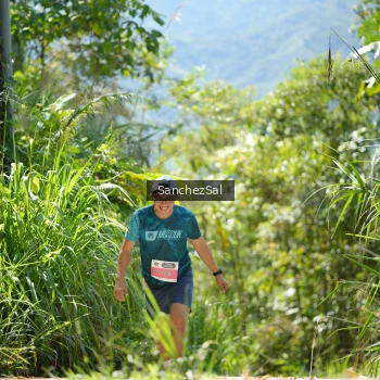 Runner Photo 1408726