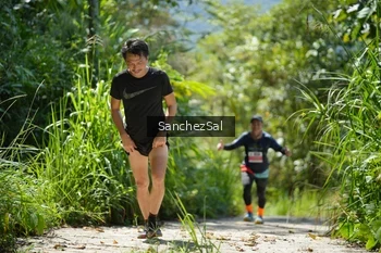 Runner Photo 1409023
