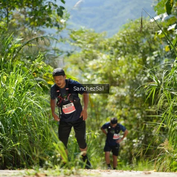 Runner Photo 1409208
